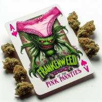 Revenge of the Pink Panties
