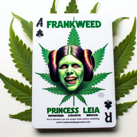 Princess Leia